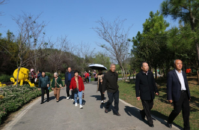 市妇幼保健院开展重阳节赏菊游园活动