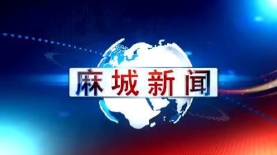 2023年11月15日星期三《麻城新闻》