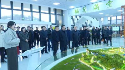 全省学习运用“千万工程”经验 强力推进强县工程实施现场会参会人员来麻城参观考察