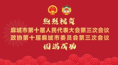 【聚焦两会】中国人民政治协商会议第十届麻城市委员会第三次会议决议