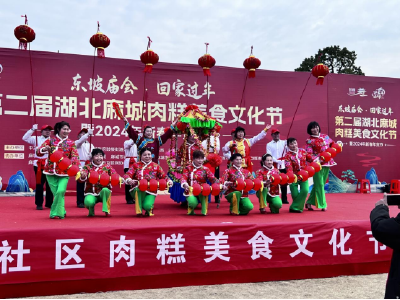 杨基塘社区肉糕美食文化节汇报演出成功举行