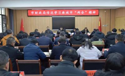 市财政局传达学习贯彻麻城“两会”精神