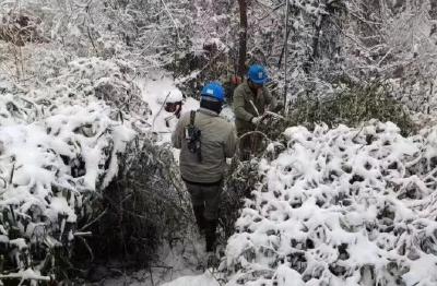 木子店镇：抗严寒战雨雪 全力抢修保供电