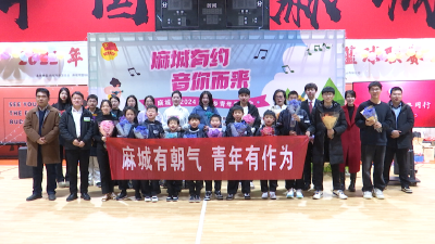 麻城市2024年返乡青年音乐会精彩举行