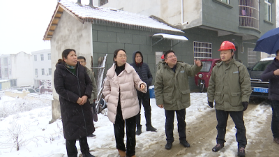 市领导督导低温雨雪冰冻灾害防范应对工作