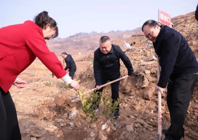 履行义务植树 共建美丽麻城