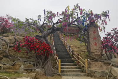 山花烂漫春意浓！麻城又一景区迎来赏花热潮~