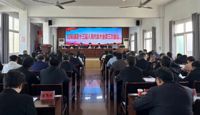 白果镇第十三届人民代表大会第三次会议胜利召开