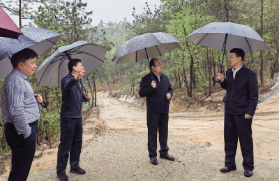 麻城市增发国债森林防火阻隔系统项目开工建设