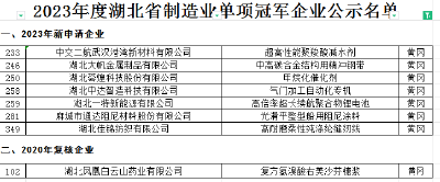 喜讯！麻城8家企业上榜省级制造业单项冠军