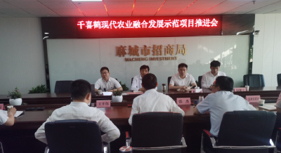 麻城千喜鹤现代农业发展示范园项目高效推进有条不紊