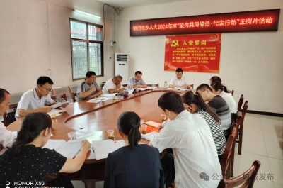 铁门岗乡开展“聚力共同缔造·代表行动”活动  