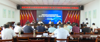 麻城加快推进经营主体高质量发展培育机制创新和个体工商户分型分类精准帮扶工作  