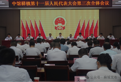 中馆驿镇第十一届人民代表大会第三次会议召开  