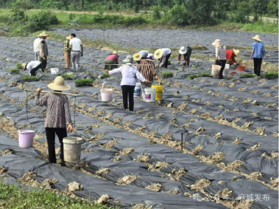 【治理小流域 绘就新画卷】“农”墨重彩绘就治理图