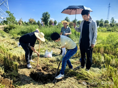 开展耕地质量监测 筑牢农业数据底座