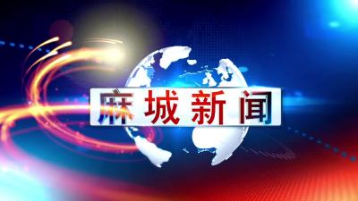 2024年7月22日星期一《麻城新闻》.mp4
