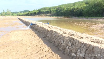 乘马岗镇许家河村：“旱改水”项目 让荒滩变良田