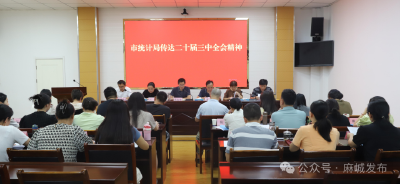 市统计局传达学习党的二十届三中全会和全市强县工程推进会、半年经济形势分析会议精神