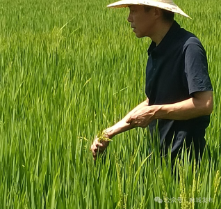 强化职责解民忧 宣传农技保丰收