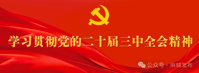 学习贯彻党的二十届三中全会精神（一）