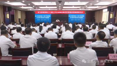 学习贯彻党的二十届三中全会精神黄冈市委宣讲团麻城报告会举行