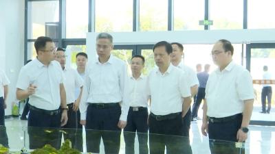 省生态环境厅党组书记、厅长何开文来麻城调研小流域综合治理工作