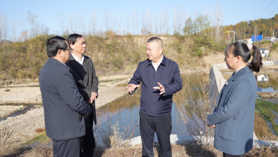 汪国兵调研督办耕地保护和粮食安全工作