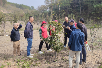 林业专家现场授课  为乡村振兴助力