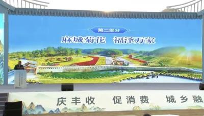 麻城菊花产业高质量发展典型经验在2024全国“土特产”集中推介活动作分享交流