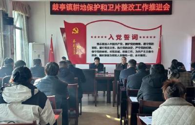 歧亭镇召开耕地保护和卫片整改工作推进会