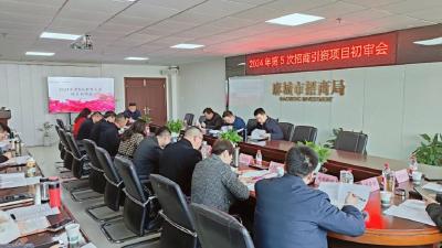 我市集中初审17个招商引资项目