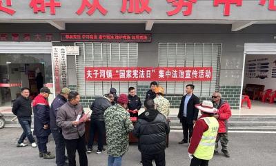 夫子河镇开展“宪法宣传周”宣传活动