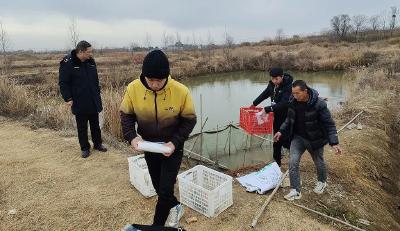 麻城市扎实开展农产品质量安全监督抽检 全力把好农产品质量安全关
