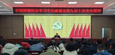 中馆驿镇传达学习市委九届十次全会精神