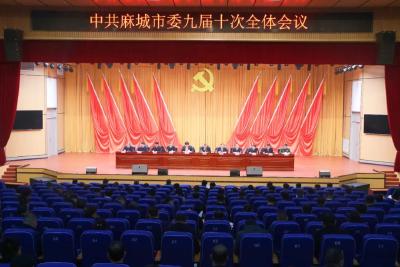中共麻城市委九届十次全体会议举行