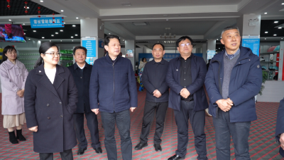 市领导调研“开门红”和大文旅工作情况
