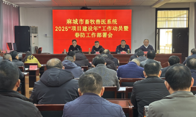 市畜牧兽医事业发展中心：坚定信心 扬优补短 以新增点赋能畜牧转型升级