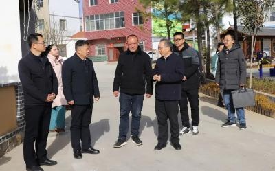 市领导调研开门红、乡村振兴等工作