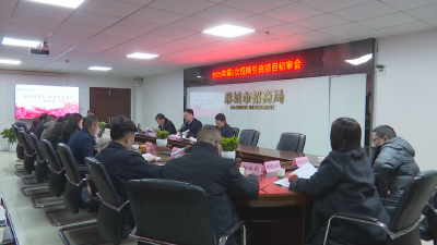 2025年第2次招商引资项目初审会召开