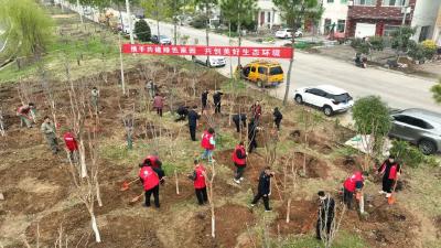携手共建添新绿 政企同心绘家园