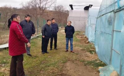 市农业农村局督导木子店镇地膜科学使用回收工作