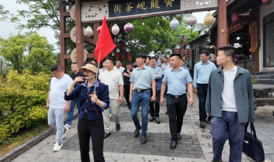 麻城市抓党建促乡村振兴“头雁”集训营（第一期）成功举办​