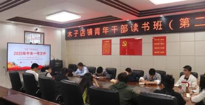 木子店镇举办青年干部读书班第二期学习会