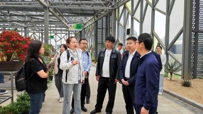 住建部帮扶办来麻城开展定点帮扶调研