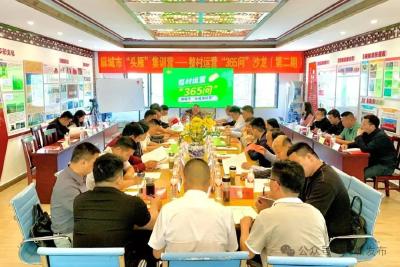 麻城市“头雁”集训营整村运营“365问”沙龙活动（第二期）举行 