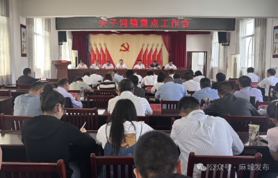 夫子河镇召开当前重点工作会议