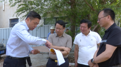 市领导督导重点市政项目建设工作