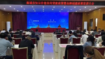 麻城市举办知识价值信用贷款政策宣讲活动 助力科技型企业发展