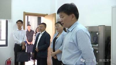 市人大常委会组织农业农村专业代表小组开展“聚力支点建设·代表行动”活动